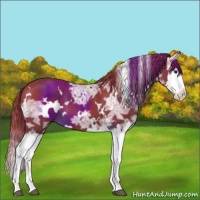 Horse Color:Watercolor White Spotted Liver Chestnut Ice Splash 