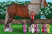 Horse Color:Silver Brown 