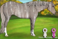 Horse Color:Silver Black Ice Rabicano 