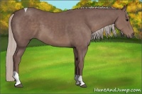Horse Color:Chocolate Silver Black Sabino Tobiano 