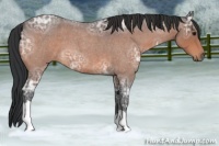 Horse Color:Brown Ice Roan 