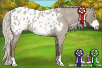 Horse Color:Silver Smoky Grullo Roan Frame Appaloosa Rabicano 