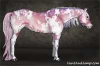Horse Color:Watercolor White Spotted Silver Brown Ice Onyx 