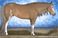 Horse Color:White Spotted Chocolate Palomino 
