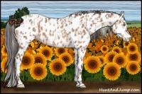 Horse Color:Amber Champagne Leopard  and Amber Champagne Frame Leopard 