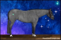 Horse Color:Blue Roan Rabicano 