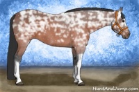 Horse Color:Brown Ice