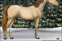 Horse Color:Brown Pearl Dun 