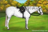 Horse Color:Bay Frame Appaloosa