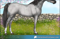 Horse Color:Platinum Blue Roan and Platinum Classic Champagne Roan