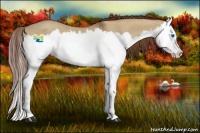 Horse Color:Red Dun Splash 