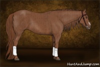 Horse Color:Chestnut  and Chestnut Frame 