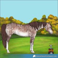 Horse Color:Platinum White Spotted Brown Dun Rabicano and Platinum White Spotted Chocolate Brown Rabicano