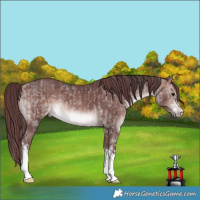 Horse Color:Platinum White Spotted Brown Dun Rabicano  and Platinum White Spotted Chocolate Brown Rabicano 