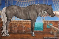 Horse Color:Silver Black  and Silver Black 