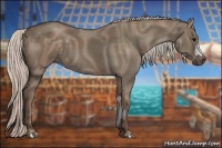 Horse Color:Silver Grullo  and Silver Grullo 