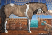 Horse Color:Sable Champagne Tobiano