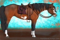 Horse Color:Brown Splash Frame Rabicano 