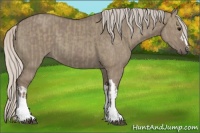 Horse Color:Silver Grullo  and Silver Grullo 