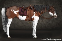 Horse Color:Brown Splash Frame Rabicano  and Brown Splash Frame Rabicano 