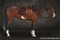 Horse Color:Brown Splash Frame Rabicano