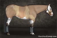 Horse Color:Bay Roan Dun Splash  and Bay Roan Dun Splash 