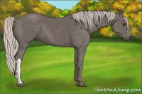 Horse Color:Silver Black  and Silver Black 