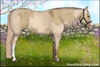 Horse Color:Red Dun  and Gold Champagne Dun 