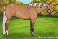 Horse Color:Silver Bay  and Silver Bay 