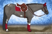 Horse Color:Grullo Tobiano  and Grullo Tobiano Frame 