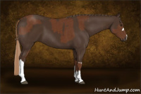 Horse Color:Chestnut and Gray Chestnut