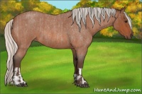 Horse Color:Silver Bay Roan  and Silver Bay Roan 