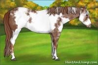 Horse Color:White Spotted Chestnut Frame  and White Spotted Chestnut Frame 