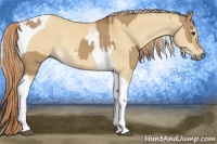 Horse Color:Red Dun Tobiano Rabicano  and Palomino Dun Tobiano Rabicano 