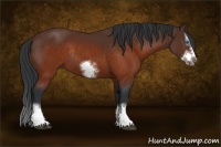 Horse Color:Brown Sabino Splash Frame Rabicano
