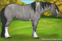 Horse Color:Grullo Roan Tobiano and Grullo Roan Splash Tobiano