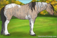 Horse Color:Grullo Roan Tobiano and Bay Roan Dun Tobiano