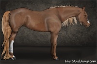 Horse Color:Chestnut and Chestnut
