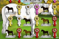Horse Color:Silver Classic Champagne Dun Splash Tobiano Rabicano 