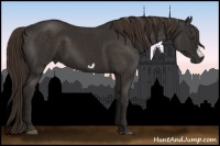 Horse Color:Liver Chestnut Frame 