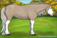 Horse Color:Silver Buckskin Roan Splash 
