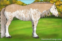 Horse Color:Palomino Roan Splash and Palomino Roan Splash