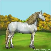 Horse Color:Watercolor White Spotted Liver Red Dun Pearl