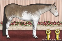 Horse Color:White Spotted Liver Red Dun Sabino Brindle 