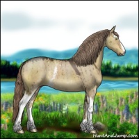 Horse Color:White Spotted Liver Red Dun 