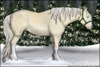 Horse Color:White Spotted Cremello Dun Sabino Rabicano