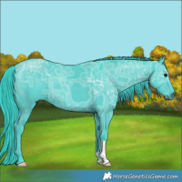 Horse Color:Watercolor Black Ice 