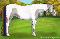 Horse Color:Painted Blue Onyx Ice Tobiano 