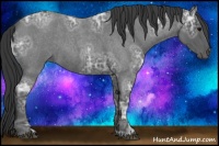 Horse Color:Blue Ice Roan 