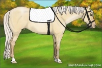 Horse Color:Silver Bay Pearl Dun